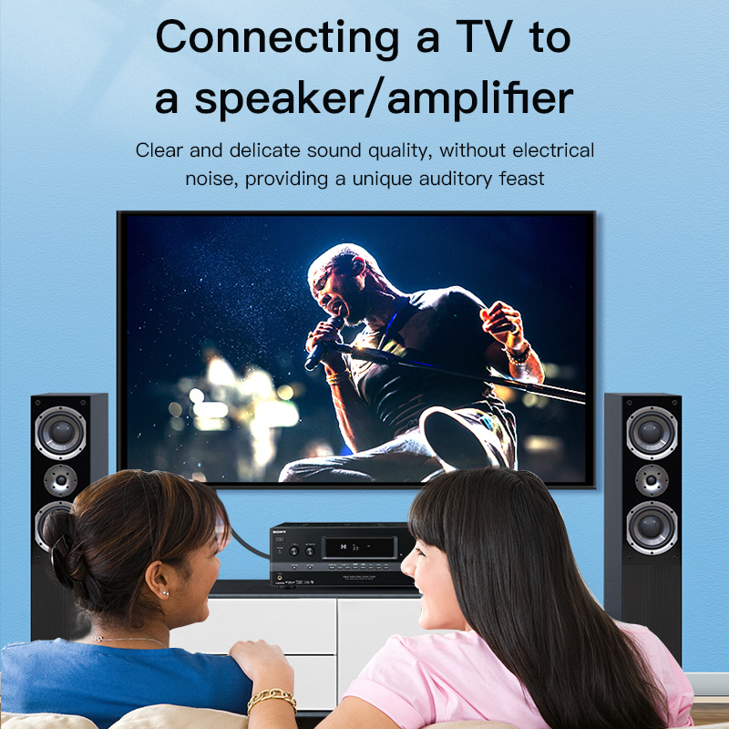 CHOSEAL RCA Cable Digital Coax - Home Cinema Tv 评论和价格